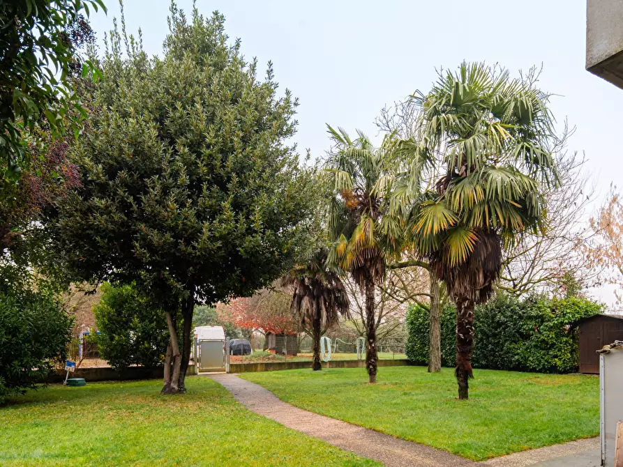Immagine 2 di Casa semindipendente in vendita  in via romanziol 171 a Annone Veneto
