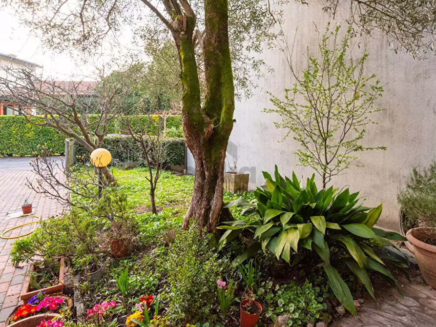 Immagine 26 di Villetta a schiera in vendita  in Via Cavalleggeri di treviso a Treviso