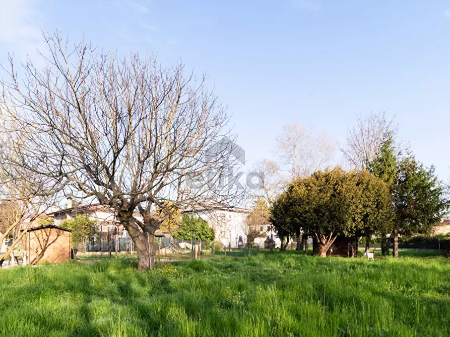 Immagine 18 di Casa semindipendente in vendita  in via salvatore quasimodo 4 a Noventa Di Piave