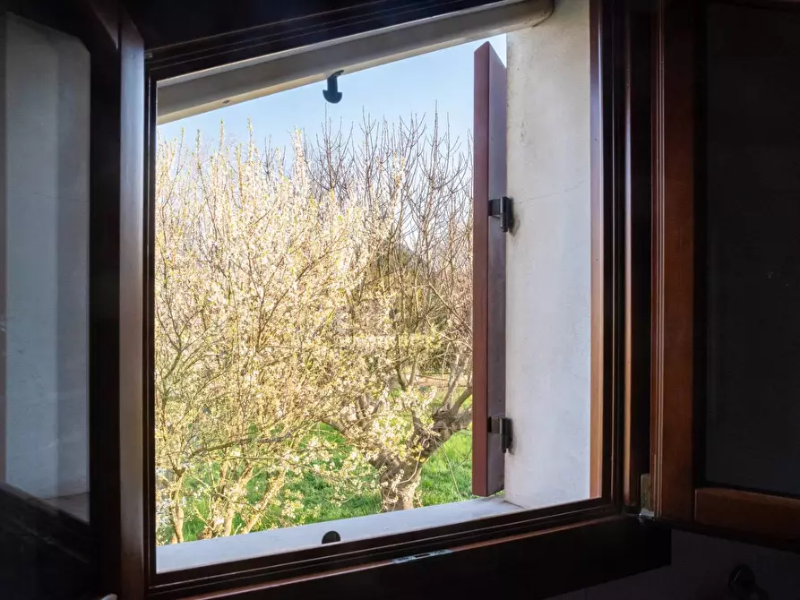 Immagine 25 di Casa semindipendente in vendita  in via salvatore quasimodo 4 a Noventa Di Piave