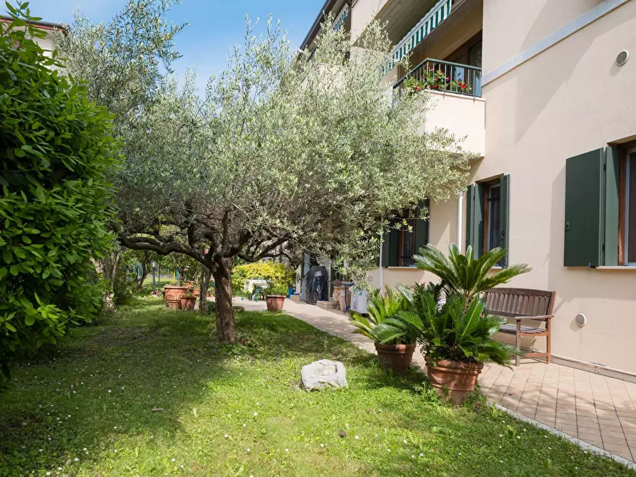Immagine 21 di Appartamento in vendita  in via Pier Andrea Saccardo a Treviso