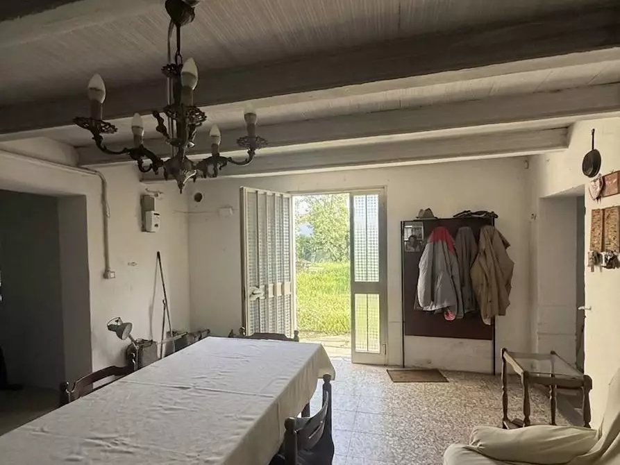 Immagine 5 di Rustico / casale in vendita  in VIA SILE a Vedelago