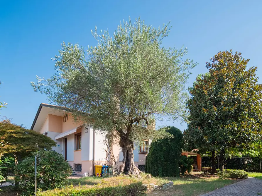 Immagine 22 di Casa indipendente in vendita  a Miane