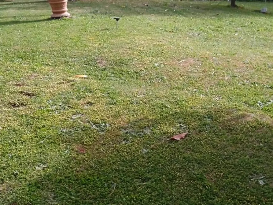 Immagine 54 di Villa in vendita  in Via Dei Laghi 32 a Ardea