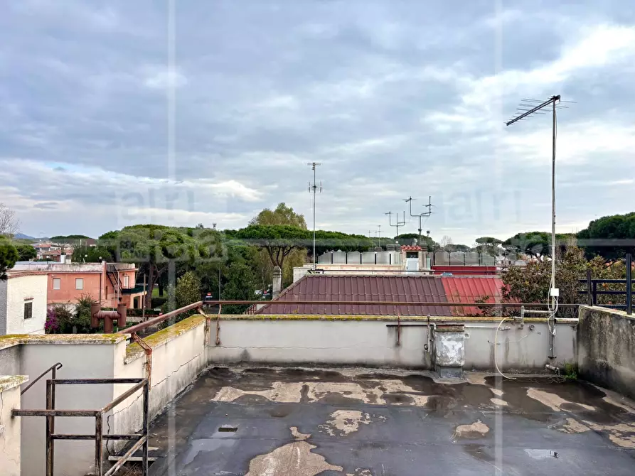 Immagine 20 di Villa in vendita  in Via Cneo Domizio a Santa Marinella