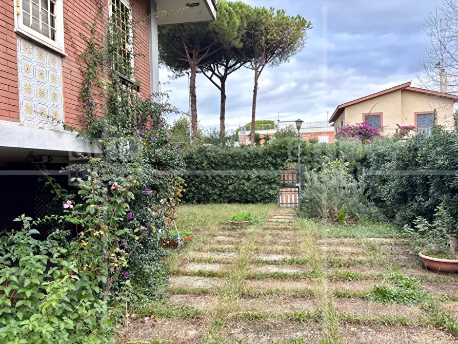 Immagine 28 di Villa in vendita  in Via Cneo Domizio a Santa Marinella