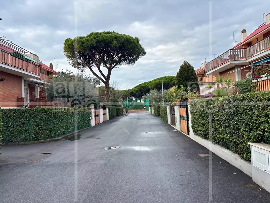 Immagine 31 di Villa in vendita  in Via Cneo Domizio a Santa Marinella