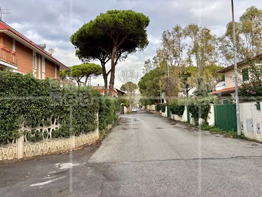 Immagine 35 di Villa in vendita  in Via Cneo Domizio a Santa Marinella