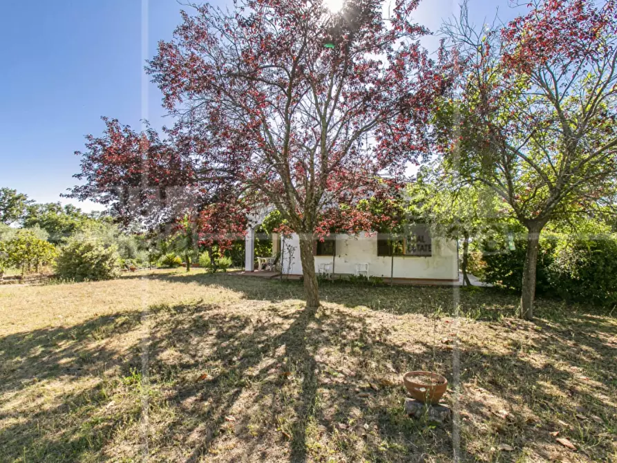 Immagine 34 di Villa in vendita  in Via Francesco Perrella a Roma