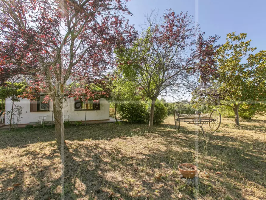 Immagine 46 di Villa in vendita  in Via Francesco Perrella a Roma