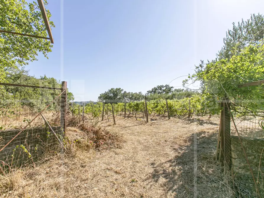 Immagine 47 di Villa in vendita  in Via Francesco Perrella a Roma