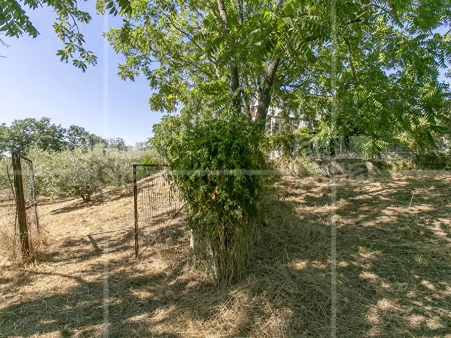 Immagine 48 di Villa in vendita  in Via Francesco Perrella a Roma