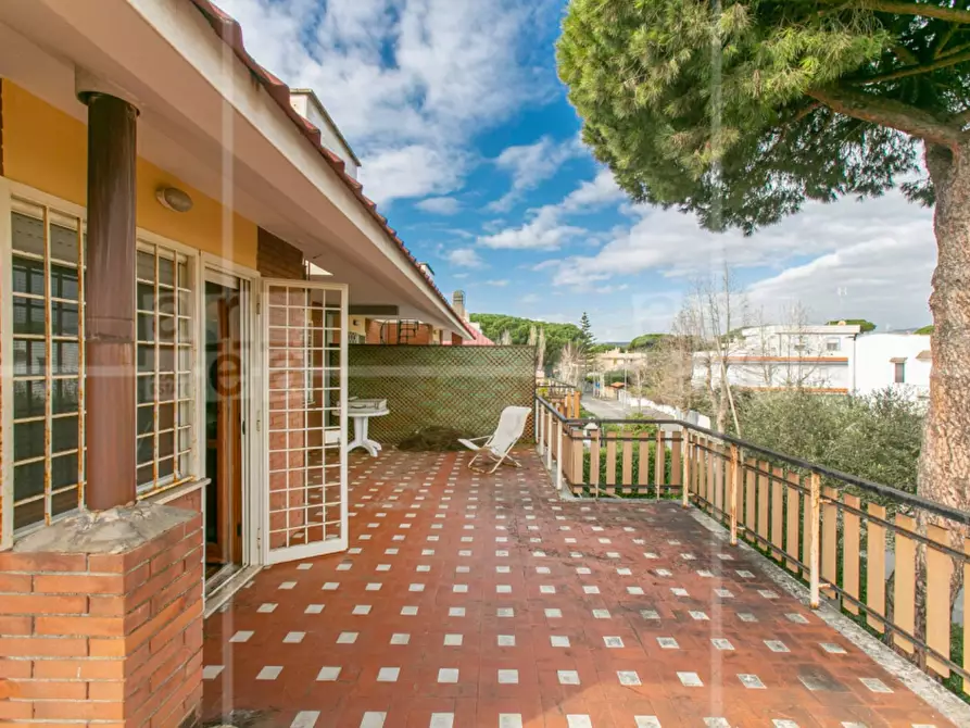 Immagine 41 di Villa in vendita  in Via Cneo Domizio a Santa Marinella