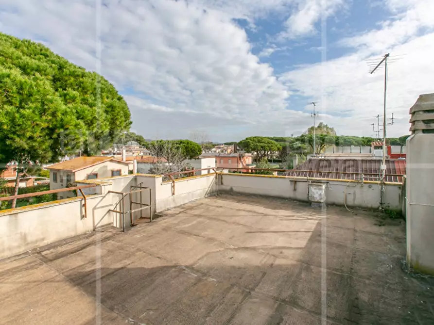 Immagine 45 di Villa in vendita  in Via Cneo Domizio a Santa Marinella