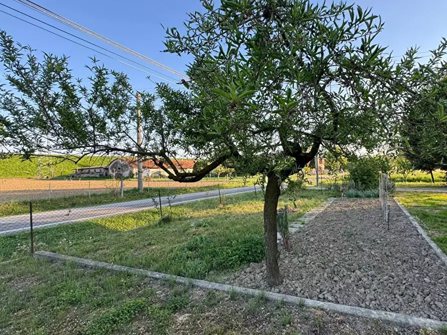 Immagine 16 di Villa in vendita  a Concordia Sulla Secchia