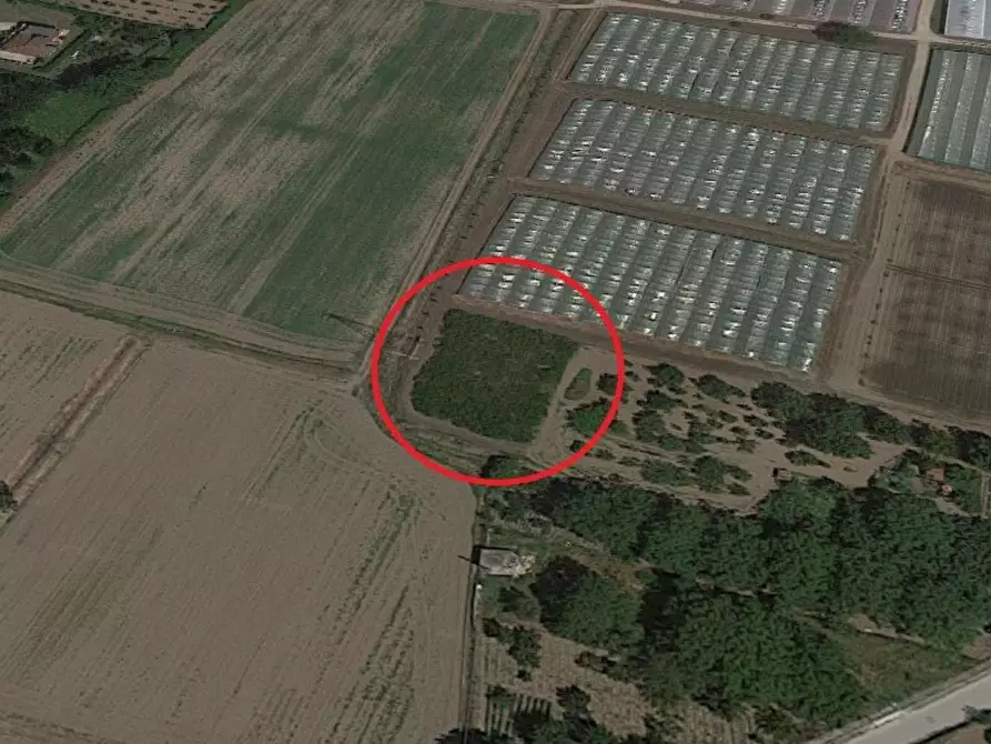 Immagine 2 di Terreno agricolo in vendita  in MACCHIONI a Montoro Inferiore