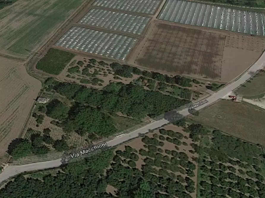 Immagine 1 di Terreno agricolo in vendita  in MACCHIONI a Montoro Inferiore
