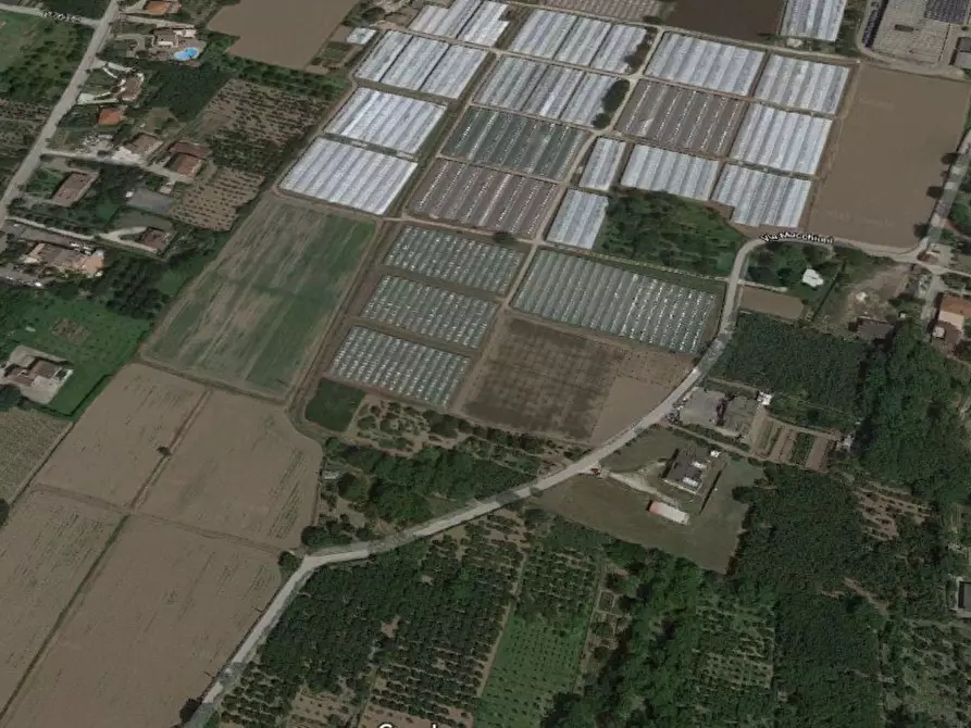 Immagine 3 di Terreno agricolo in vendita  in MACCHIONI a Montoro Inferiore