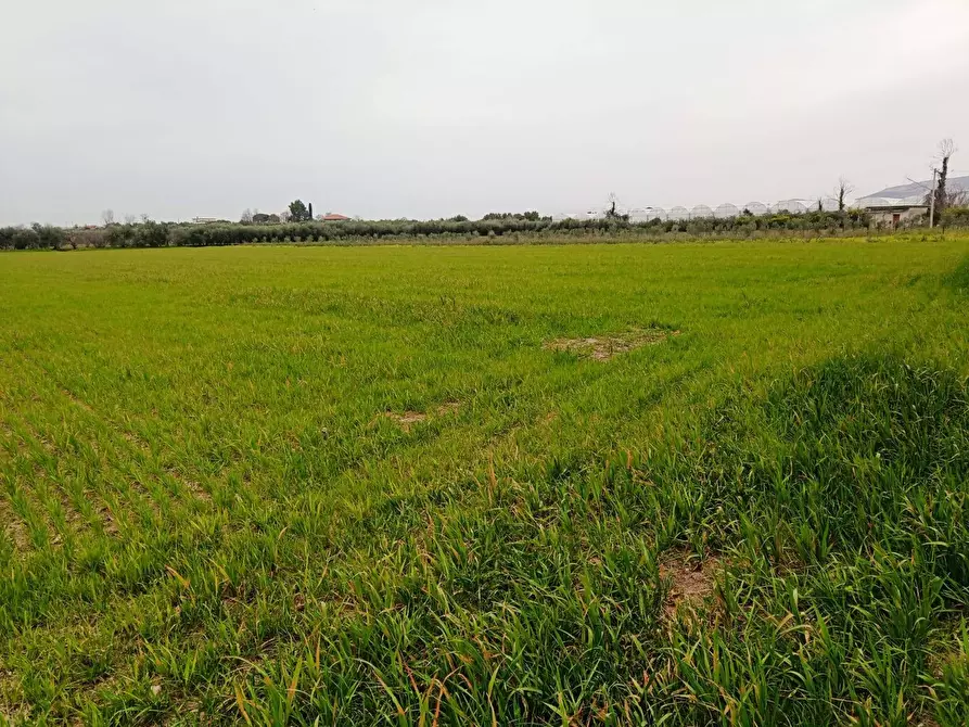 Immagine 1 di Terreno agricolo in vendita  in via novella a Eboli