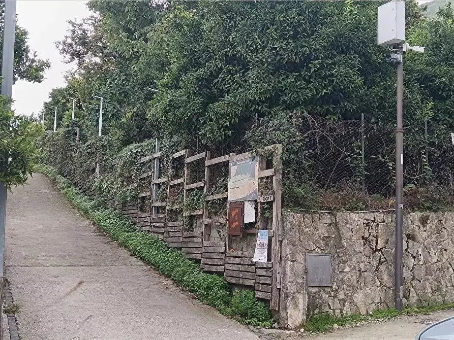 Immagine 5 di Terreno agricolo in vendita  in VIA MONTALBINO 550 a Nocera Inferiore