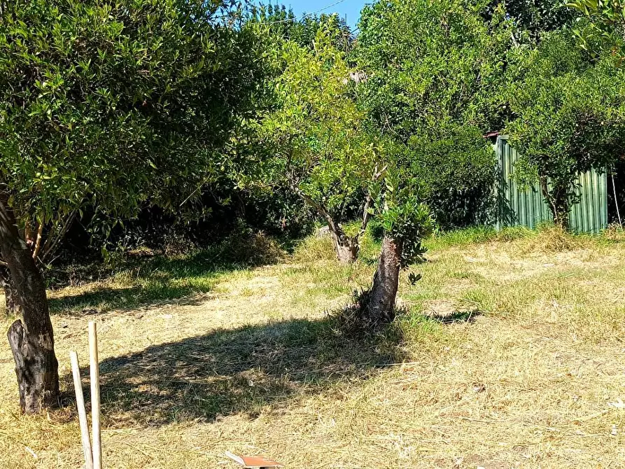 Immagine 19 di Villa in vendita  in Via Torquato Tasso 7 a Nocera Inferiore