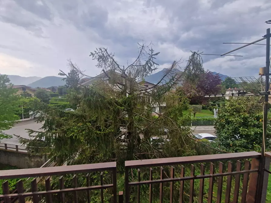 Immagine 20 di Appartamento in vendita  in via rivarano a Aiello Del Sabato