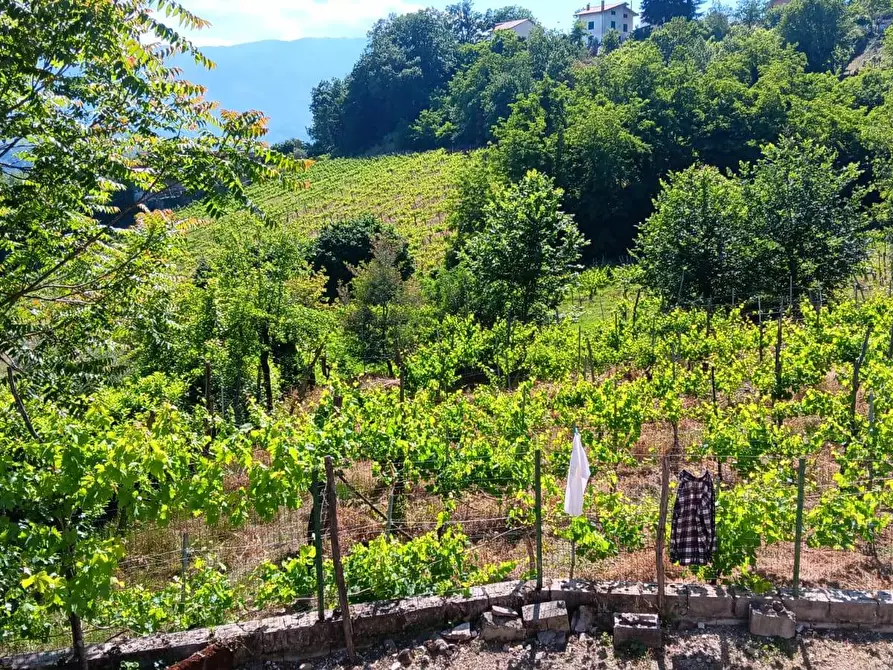 Immagine 2 di Casa indipendente in vendita  in contrada bosco a Capriglia Irpina