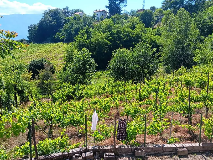 Immagine 3 di Casa indipendente in vendita  in contrada bosco a Capriglia Irpina