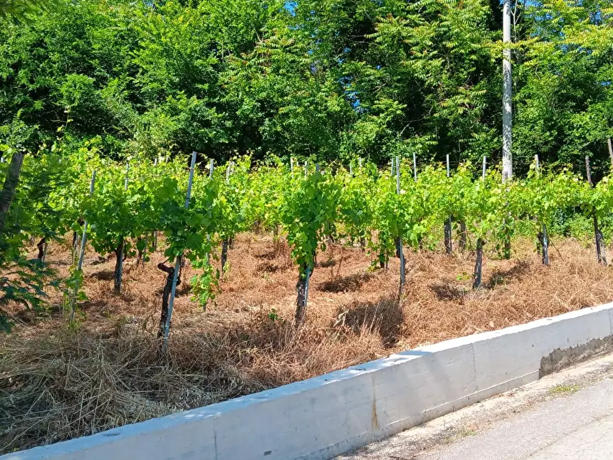 Immagine 11 di Casa indipendente in vendita  in contrada bosco a Capriglia Irpina