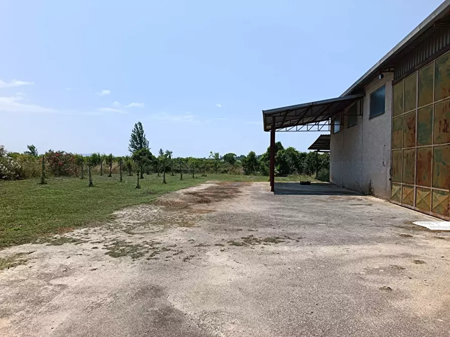 Immagine 50 di Villa in vendita  in via Olpanno 7 a Capaccio Paestum