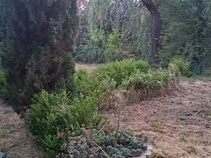 Immagine 27 di Palazzo in vendita  in zona  Cancello S.N.C a Maddaloni