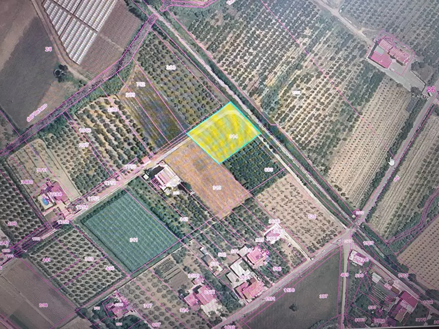 terreno agricolo in vendita ad Eboli