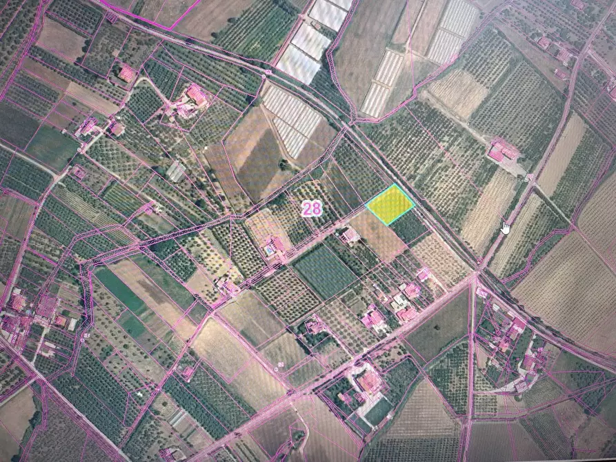 Immagine 2 di Terreno agricolo in vendita  in Acqua dei Pioppi a Eboli