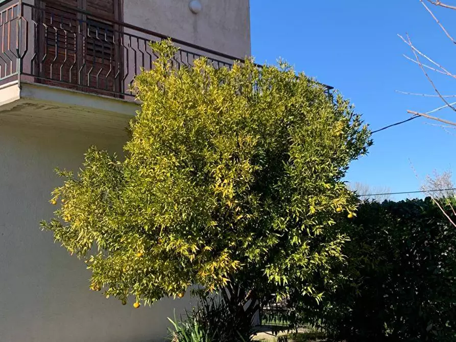 Immagine 27 di Villa in vendita  in via tenente nicola vitale 9 a San Michele Di Serino