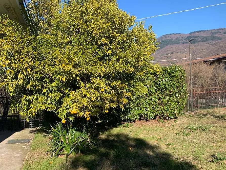 Immagine 30 di Villa in vendita  in via tenente nicola vitale 9 a San Michele Di Serino