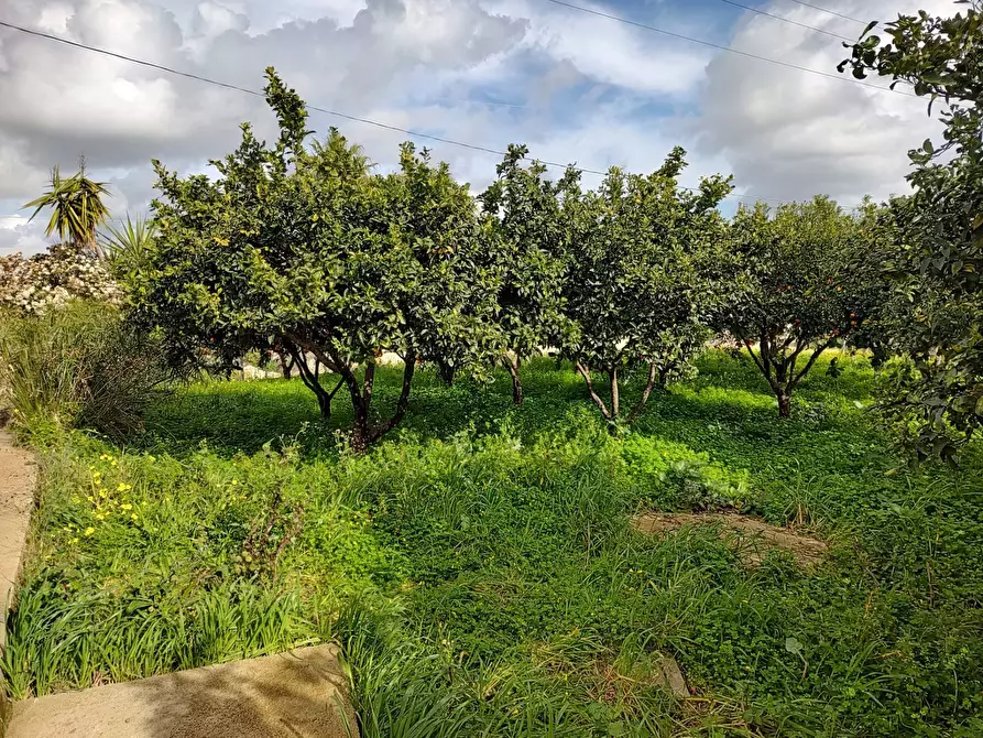Immagine 3 di Terreno agricolo in vendita  in Via Torre Paladino a Eboli