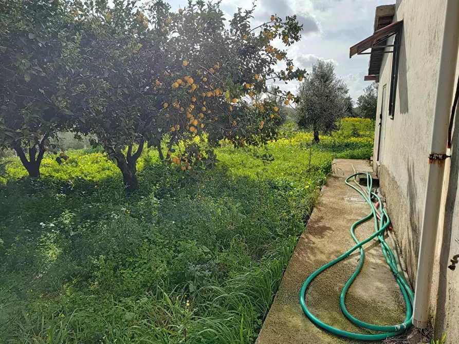 Immagine 2 di Terreno agricolo in vendita  in Via Torre Paladino a Eboli