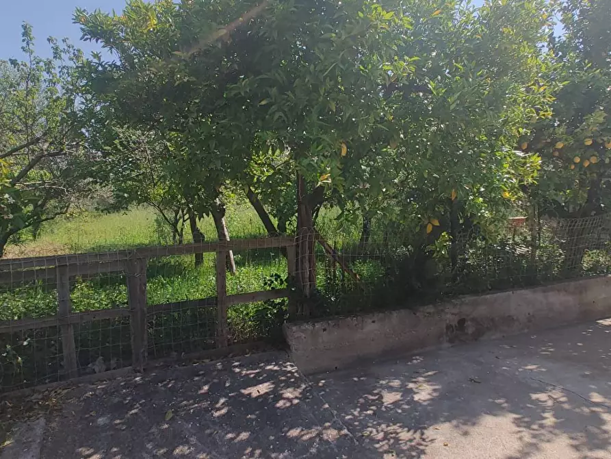 Immagine 17 di Villa in vendita  in Via Guido Scocozza 9 a Eboli