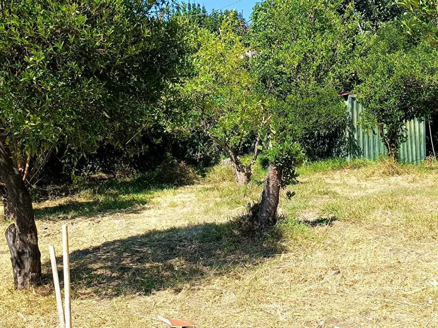 Immagine 17 di Villa in vendita  in Via Torquato Tasso 7 a Nocera Inferiore