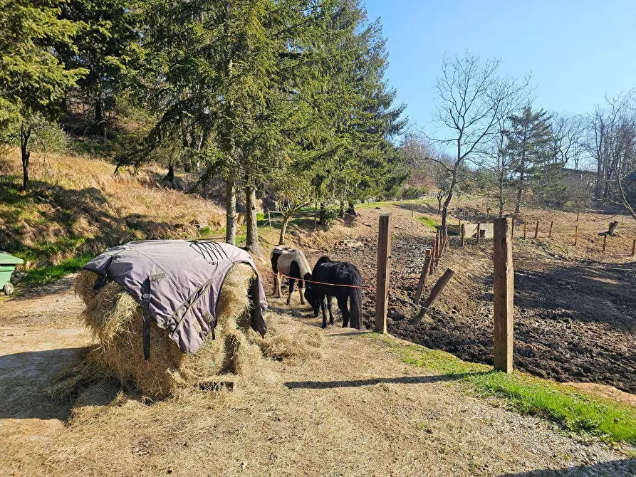 Immagine 33 di Rustico / casale in vendita  in Via Paleologo a Altare