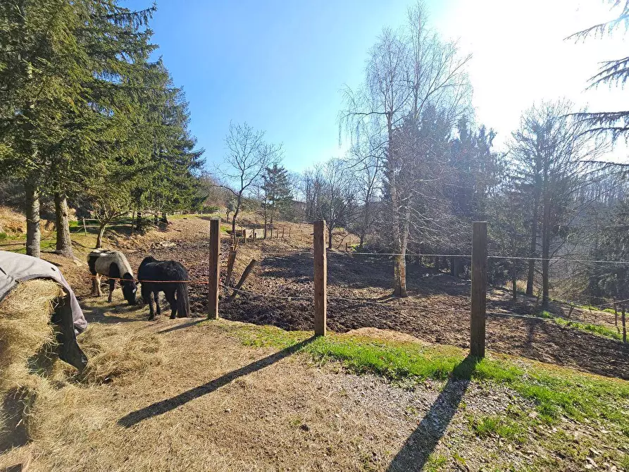 Immagine 34 di Rustico / casale in vendita  in Via Paleologo a Altare