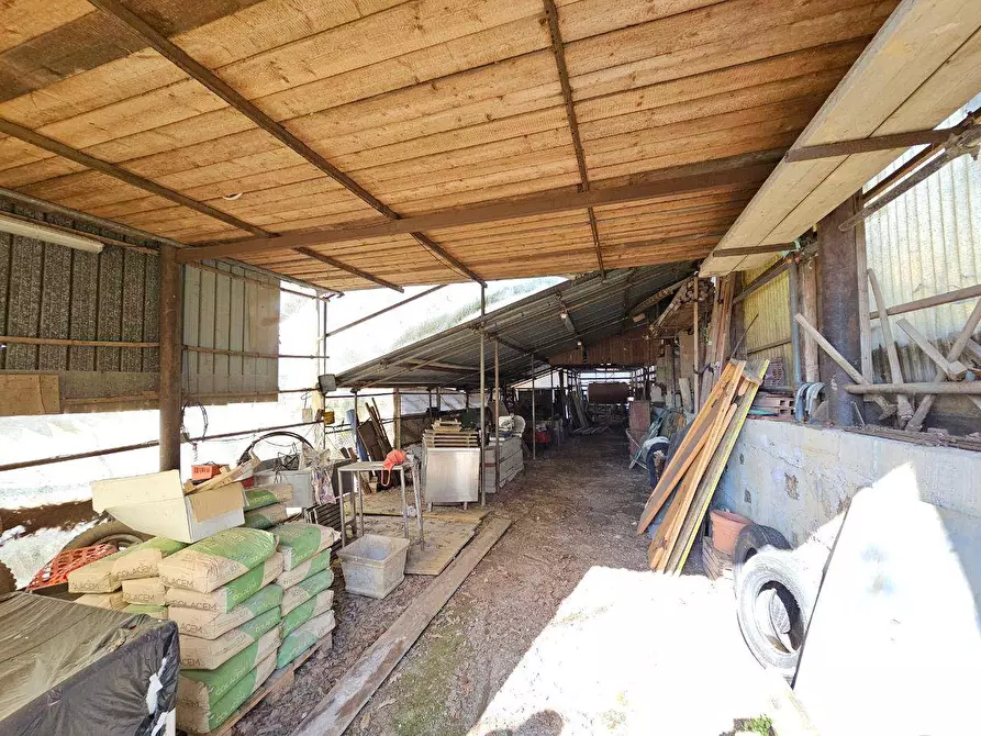 Immagine 38 di Rustico / casale in vendita  in Via Paleologo a Altare