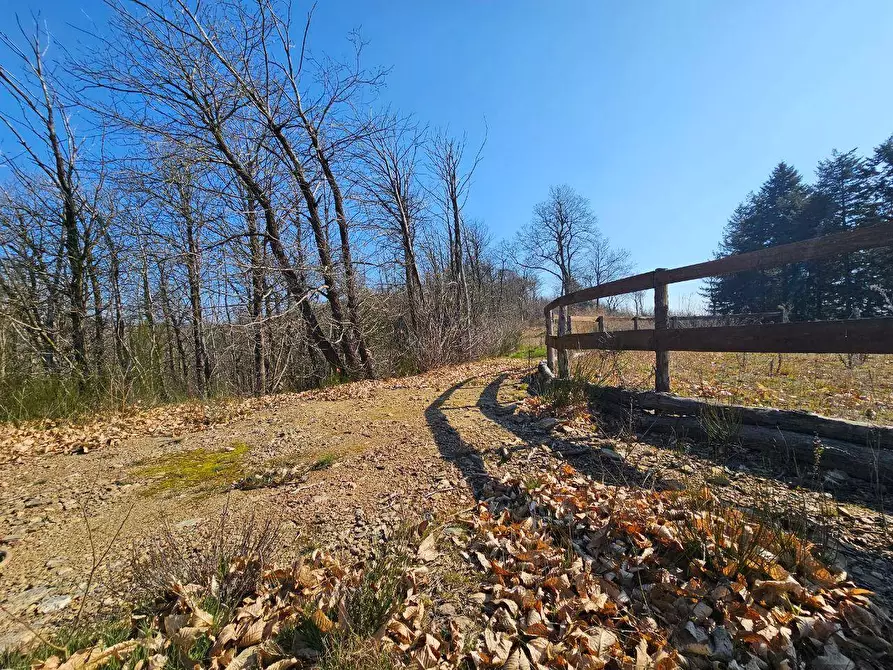 Immagine 40 di Rustico / casale in vendita  in Via Paleologo a Altare