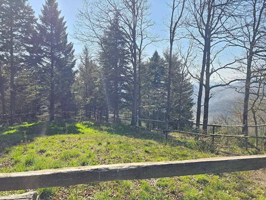 Immagine 42 di Rustico / casale in vendita  in Via Paleologo a Altare