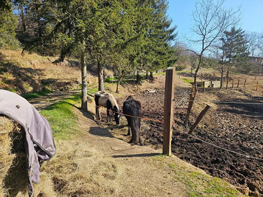 Immagine 43 di Rustico / casale in vendita  in Via Paleologo a Altare