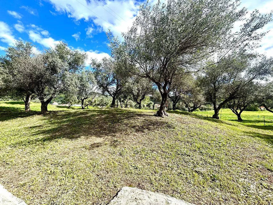 Immagine 26 di Appartamento in vendita  in BORGO DEGLI ERCHI a Albisola Superiore