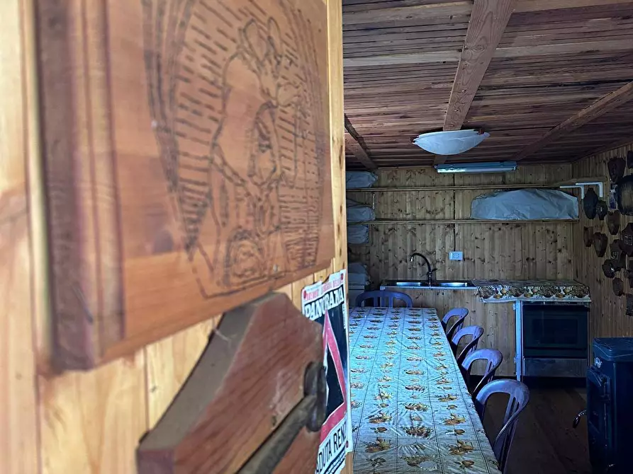 Immagine 5 di Terreno agricolo in vendita  a Quiliano