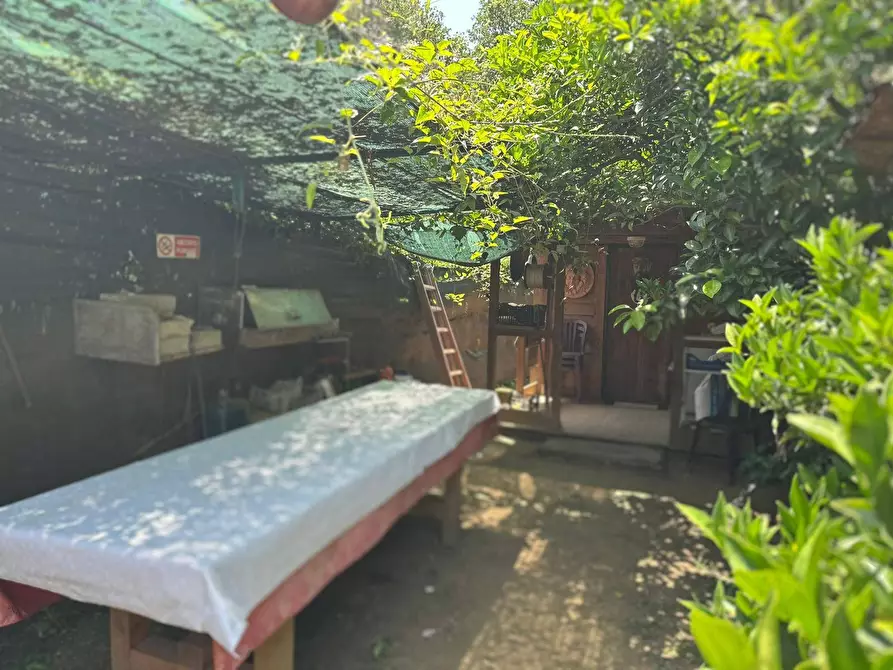 Immagine 7 di Terreno agricolo in vendita  a Quiliano