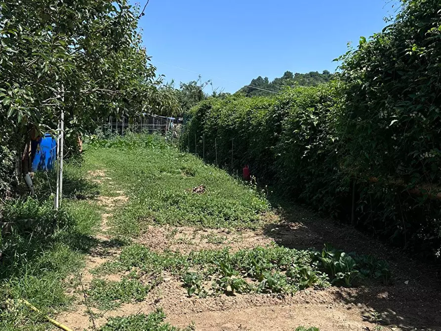 Immagine 10 di Terreno agricolo in vendita  a Quiliano