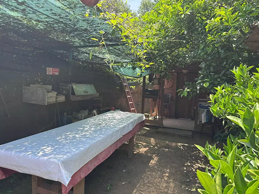 Immagine 11 di Terreno agricolo in vendita  a Quiliano